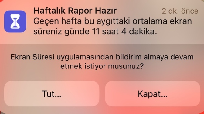 Bu neyy nasıl ne yapcam ben?