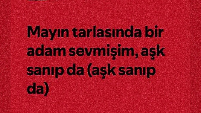 “Mayın tarlasında bir adam/kadın sevmişim, aşk sanıp da” dediğiniz biri var mı?