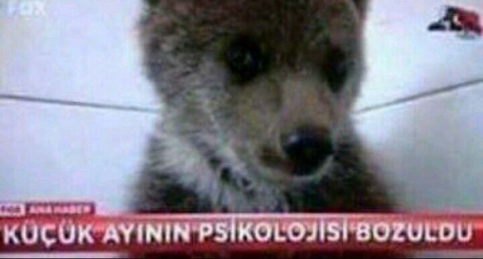 inanmış gibi yapıyorum. 