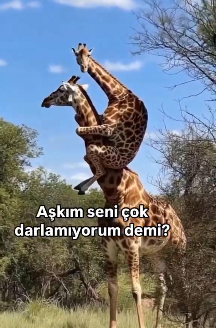 Surekli darlayan sevgiliden olur mu?