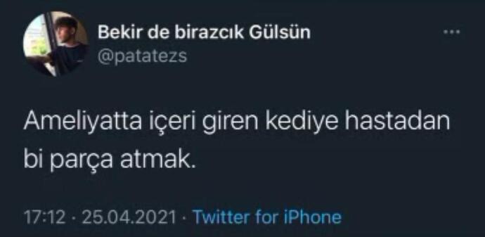 Hayvan sever misiniz?
