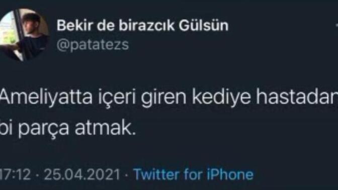 Hayvan sever misiniz?