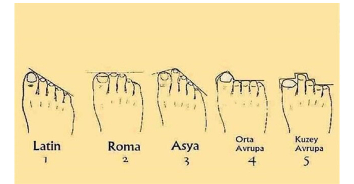 Ayak şeklinize göre hangi ırktan geliyorsunuz?