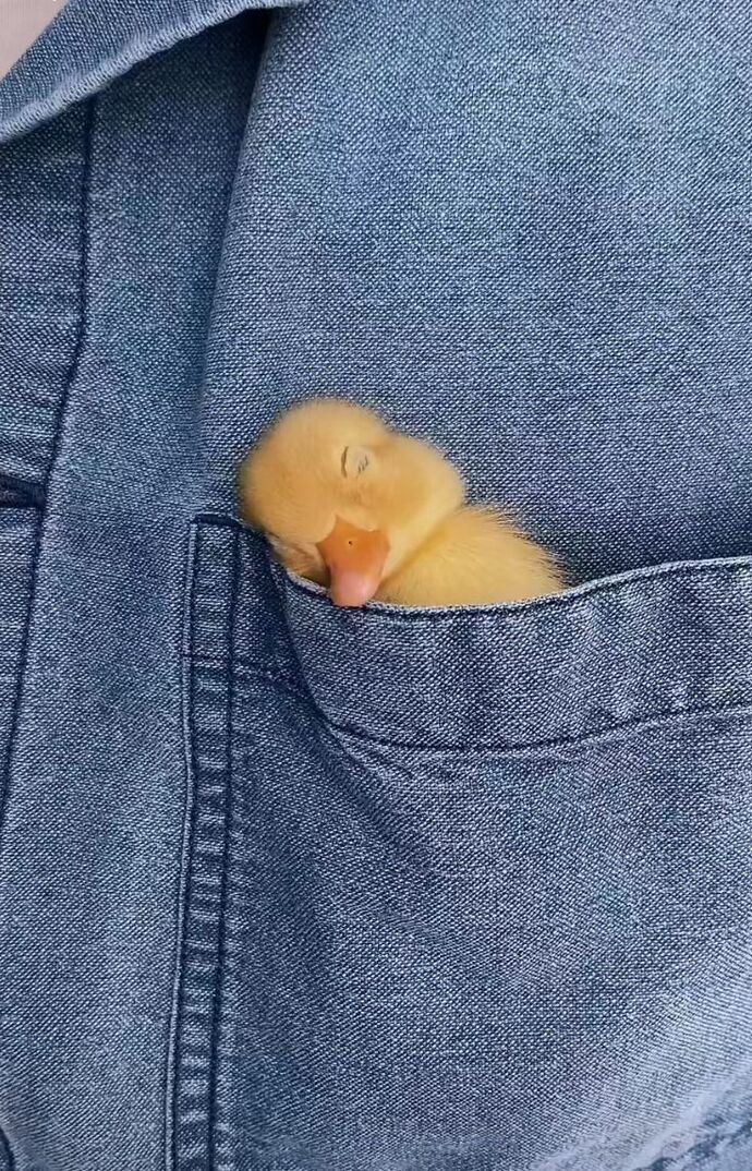 ..