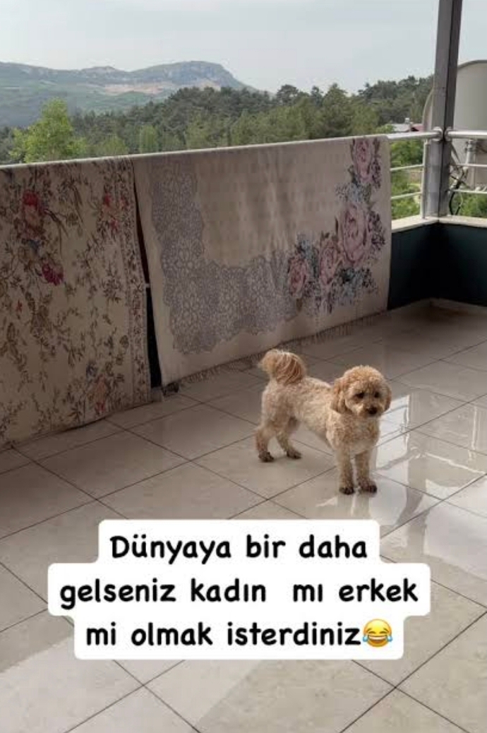 Dünyaya yeniden gelseniz; kadın olarak mı, yoksa erkek olarak mı gelmek isterdiniz? Neden?