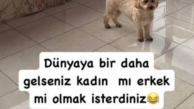 Dünyaya yeniden gelseniz; kadın olarak mı, yoksa erkek olarak mı gelmek isterdiniz? Neden?