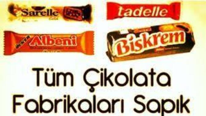 Hayatta kalmak için mantığına ihtiyacın var, bakalım kimler hayatta kalacak?