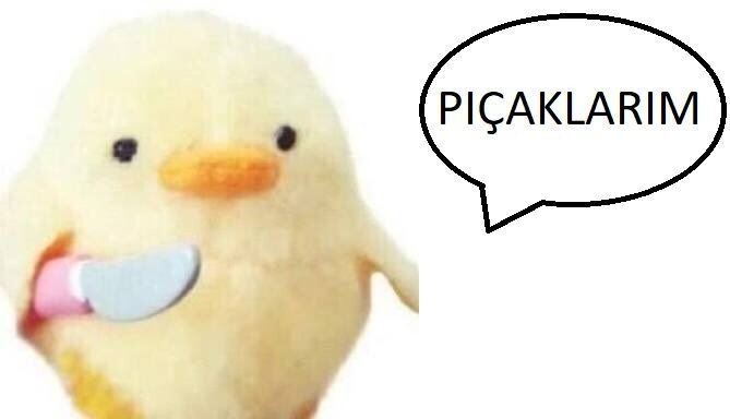 Can sıkıntısından kimi pıcaklasam?