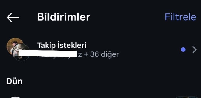 Erkekler neden profil resmi olmayan bir kıza istek atar?