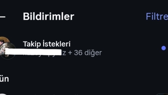 Erkekler neden profil resmi olmayan bir kıza istek atar?