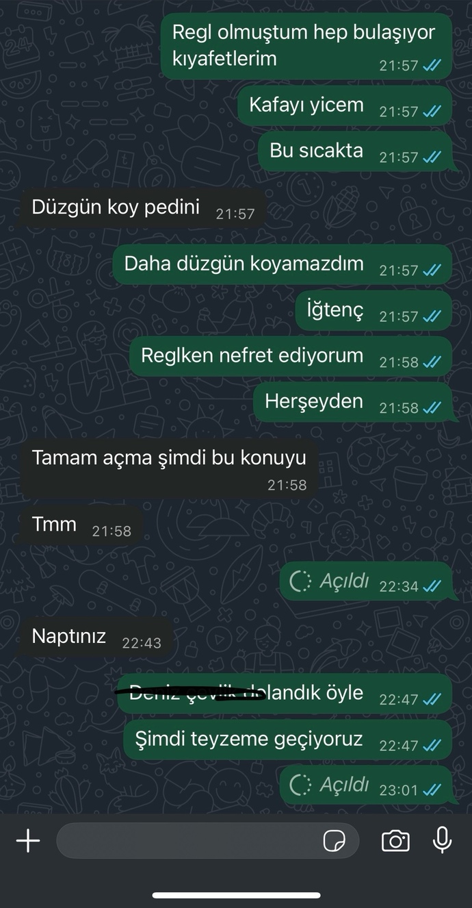 Eski sevgilimle konuşuyorduk ve bana görüldü attı artık konuşmak istemiyor mu?