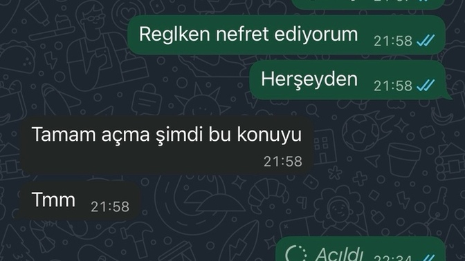 Eski sevgilimle konuşuyorduk ve bana görüldü attı artık konuşmak istemiyor mu?