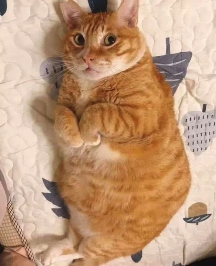 duygusalımdır. 🌸