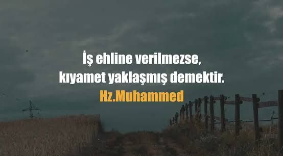 Bu internetteki işe yaramaz insanlar ne ara adam oldular da bize akıl verir oldular?