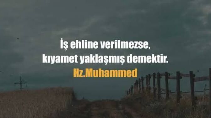 Bu internetteki işe yaramaz insanlar ne ara adam oldular da bize akıl verir oldular?