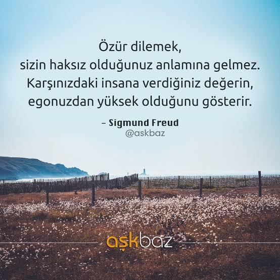 Haklı iken hiç gönül almak için özür dilediniz mi?