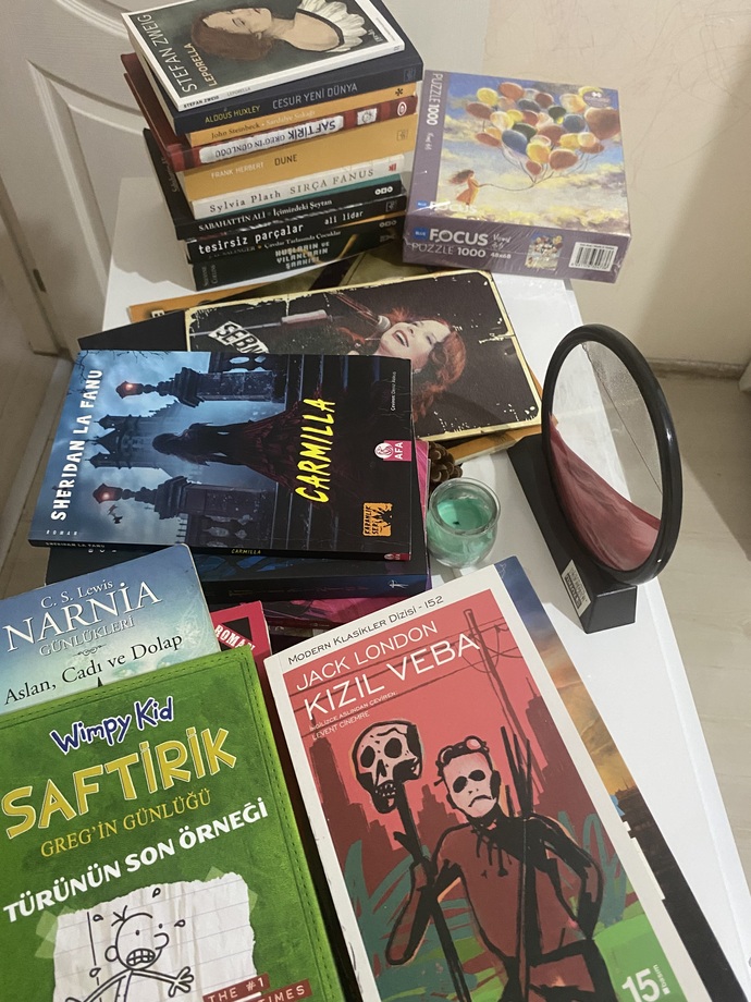 Kaç tane kitabınız var?