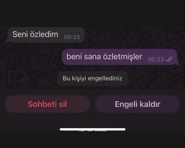 Seni özledim  mesajına ne denir?