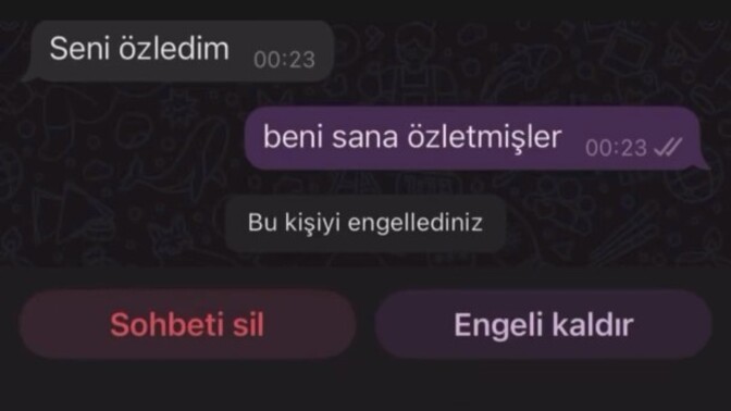 ' Seni özledim ' mesajına ne denir?