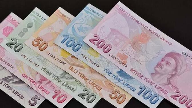 Çocukken renk olarak en sevdiğin banknot hangisiydi?