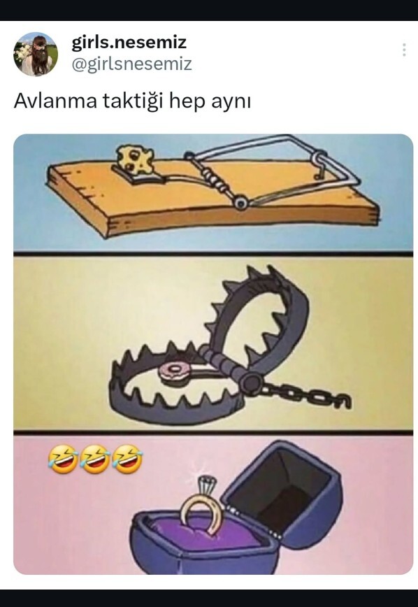 Av mısınız avcı mı?