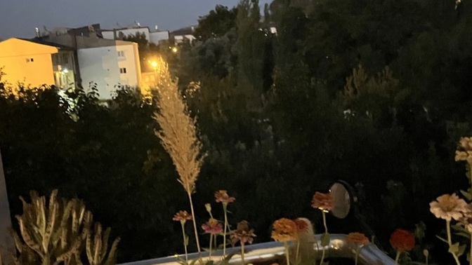 Çiçeklerim neden kuruyor?