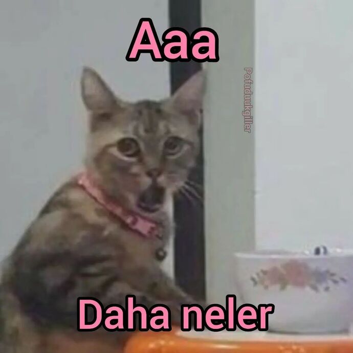 hayır aşko 