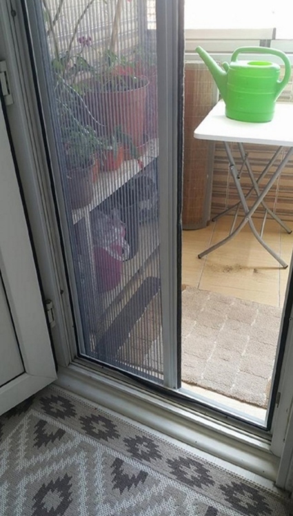 Balkon sinekliklerinde sürgülü mü yoksa mıknatıslı sineklikler mi daha kullanışlı olur?