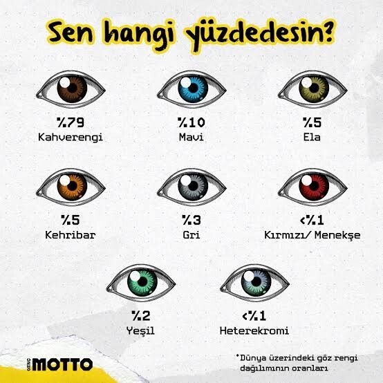 Göz rengin ne memnun musun?