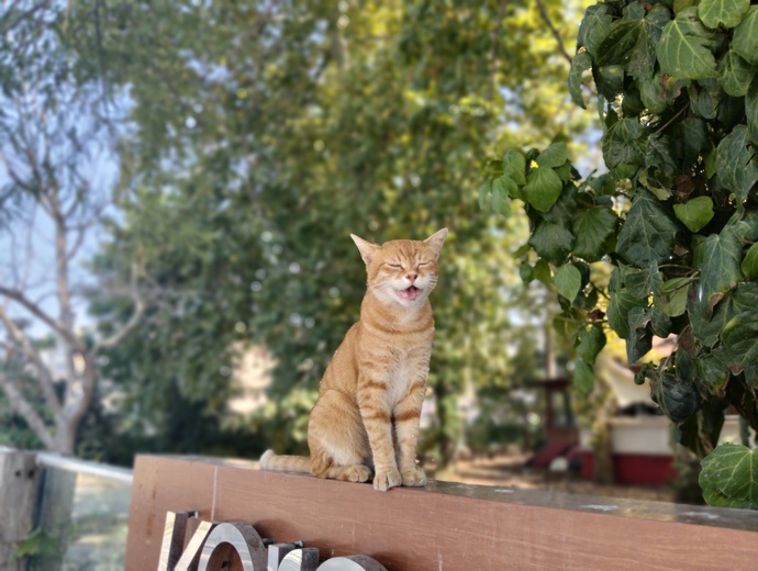 Biri size hayran olsaydı hangi özelliğiniz sebebiyle olurdu?