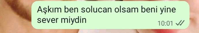 Sevgilisini darlamayı seven tek ben miyim?