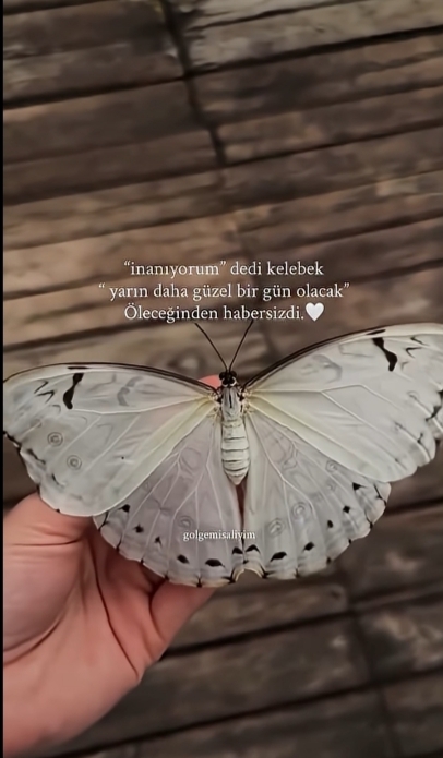 Yarın daha mı güzel bir gün olacak dersiniz?