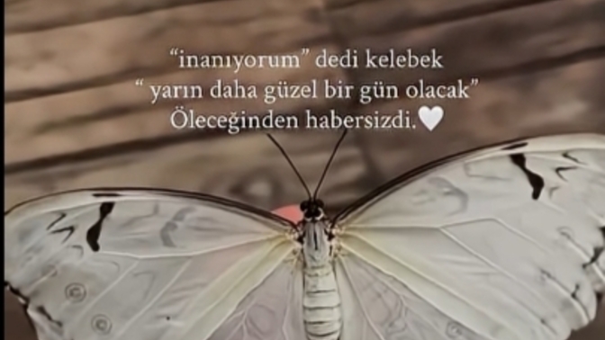 Yarın daha mı güzel bir gün olacak dersiniz?