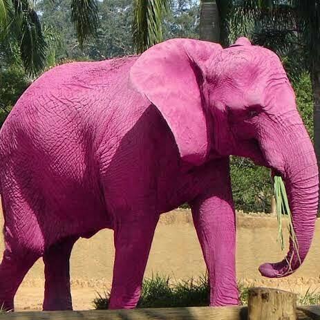 Size enn “pembe fili düşünme” gibi hissettiren cümleler hangileri?
