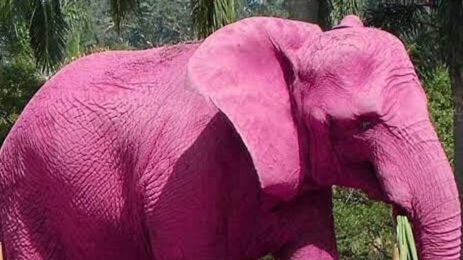 Size enn “pembe fili düşünme” gibi hissettiren cümleler hangileri?