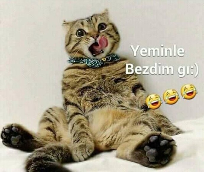 Çabuk güvenir misin?
