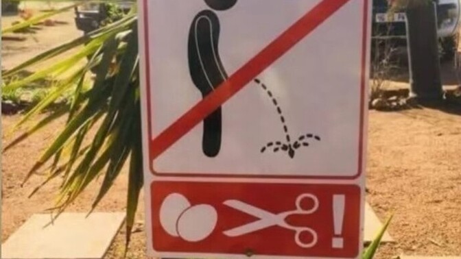 Wc'de neden dinlendiğimizi hissederiz?