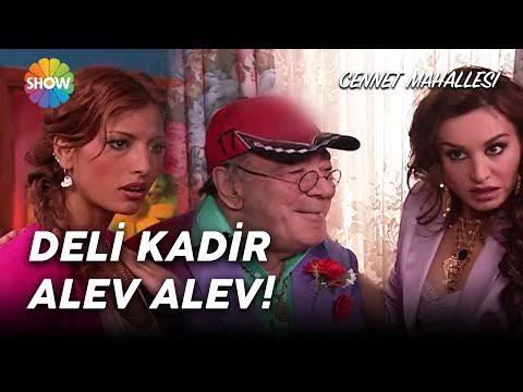 Milleti kader kovalarken bizi deli kadir mi kovalıyor?