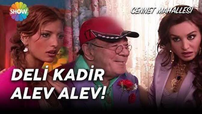 Milleti kader kovalarken bizi deli kadir mi kovalıyor?