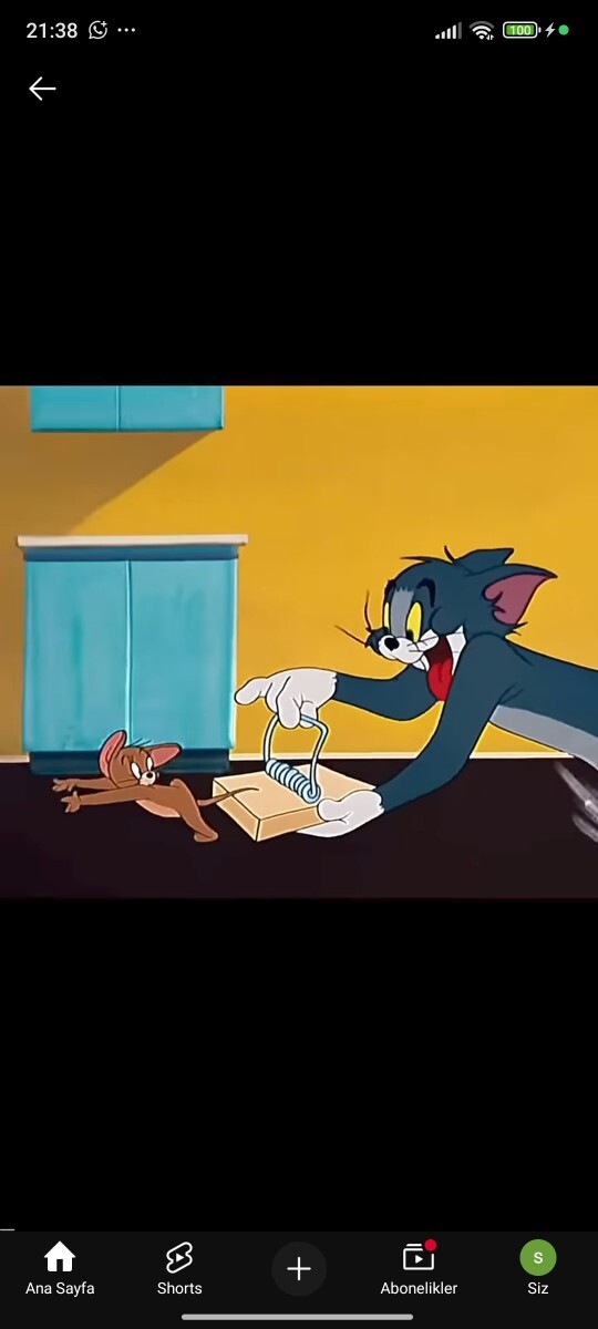 Küçükken Jerry masum sanırdık, Tom un masum olduğunu buyunce mı anladık 😅?