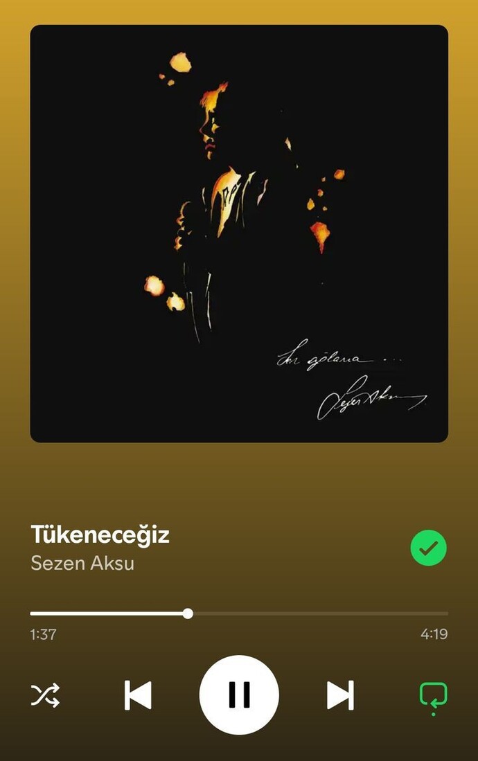 Kendinizi şu an da hangi şarkı gibi hissediyorsunuz? Hangi şarkı sizi anlatıyor?