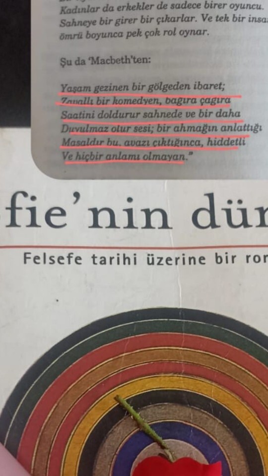 🎭Sizce hayatın bir anlamı var mı, yoksa Macbeth’in dediği gibi anlamsız bir oyun mu?
