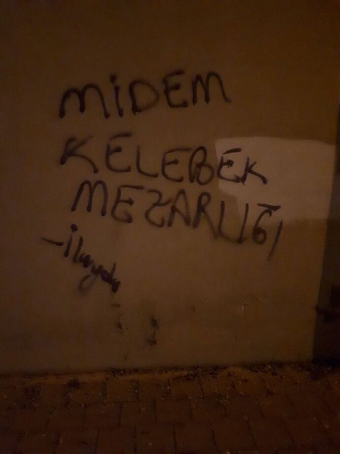 Duvara yazı yazacak olsanız ne yazardınız?