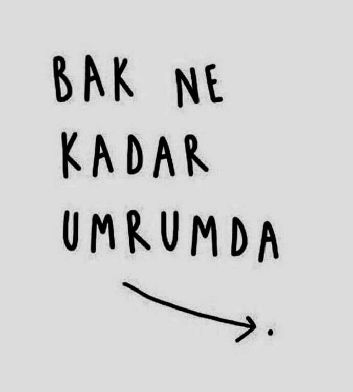 Biri sizin işinize burnunu sokup Benim dediğim doğru, öyle yap derse tepkiniz ne olur?