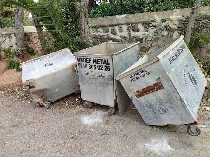 Çöp atarken içinden kedi fırladı mı hiç?