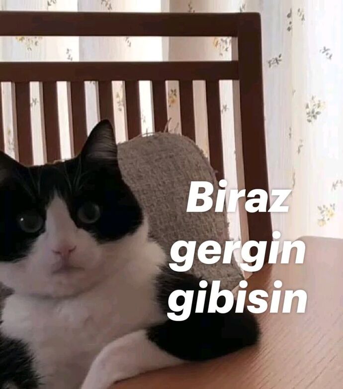 fırladı aşko 