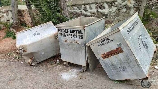 Çöp atarken içinden kedi fırladı mı hiç?
