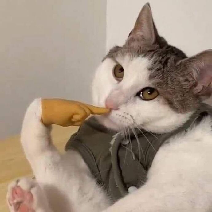 bir gün bir delilik yapıp sevebilirim ama ne zaman bilmiyorum.
