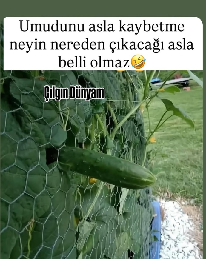 Ummadığınız anda Ummadığınız mucizelerle karsılaştınızmı?