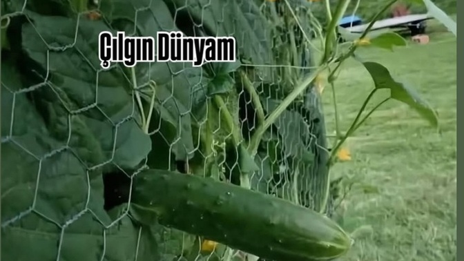 Ummadığınız anda Ummadığınız mucizelerle karsılaştınızmı?